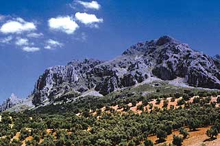 Sierra de la Horconera.jpg